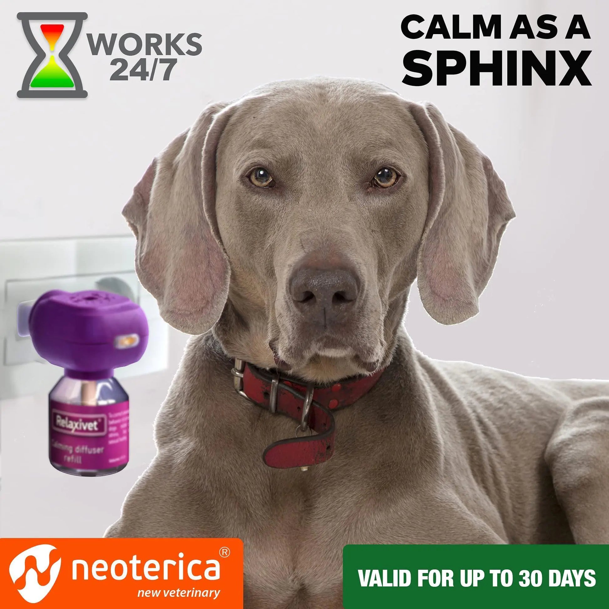 Calming Diffuser Kit for Dogs – Separation Anxiety & Stress Relief with Natural Pheromones