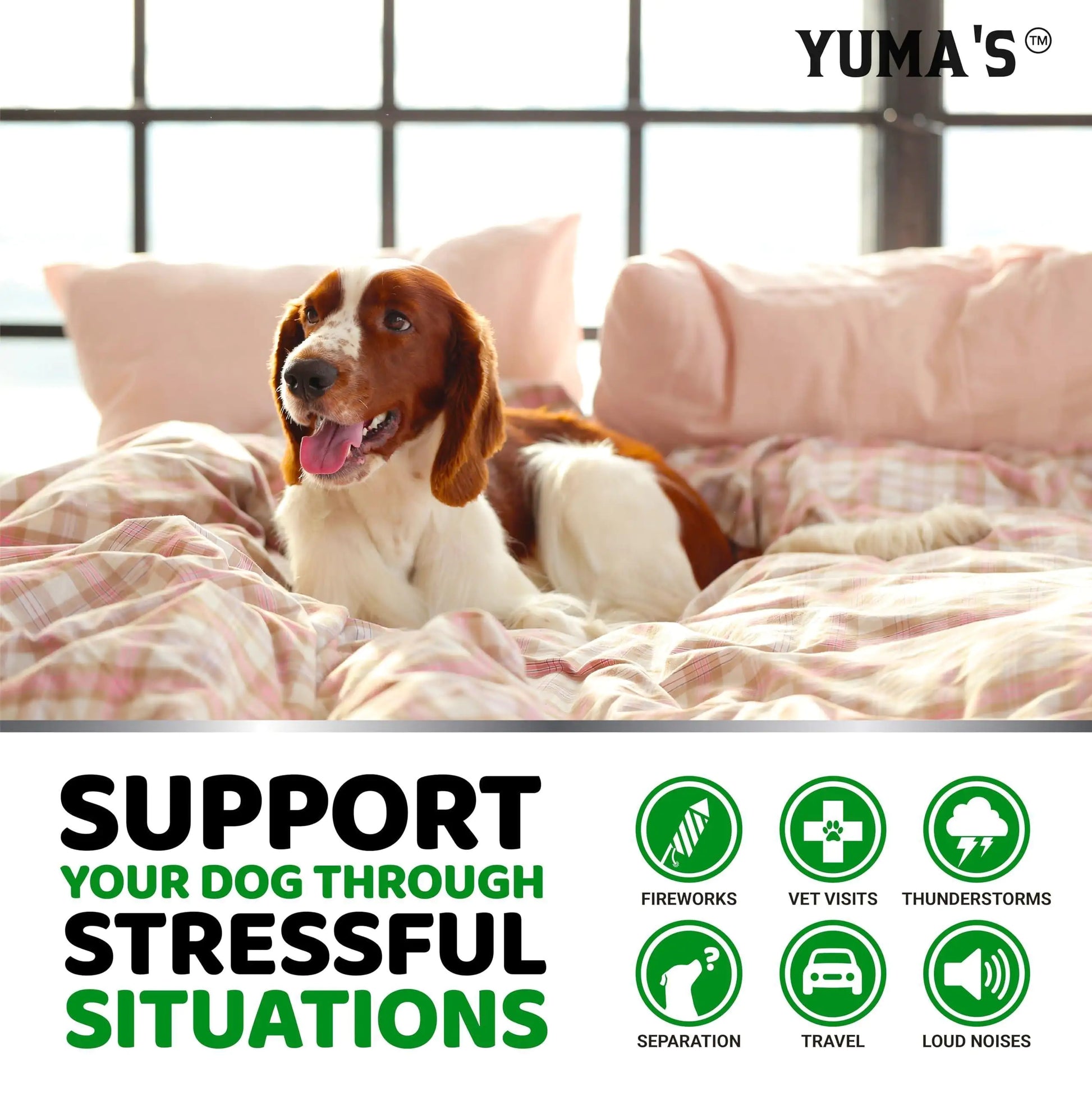 Hemp Calming Chews for Dogs – Advanced Stress & Anxiety Relief – 170 Chicken-Flavored Treats